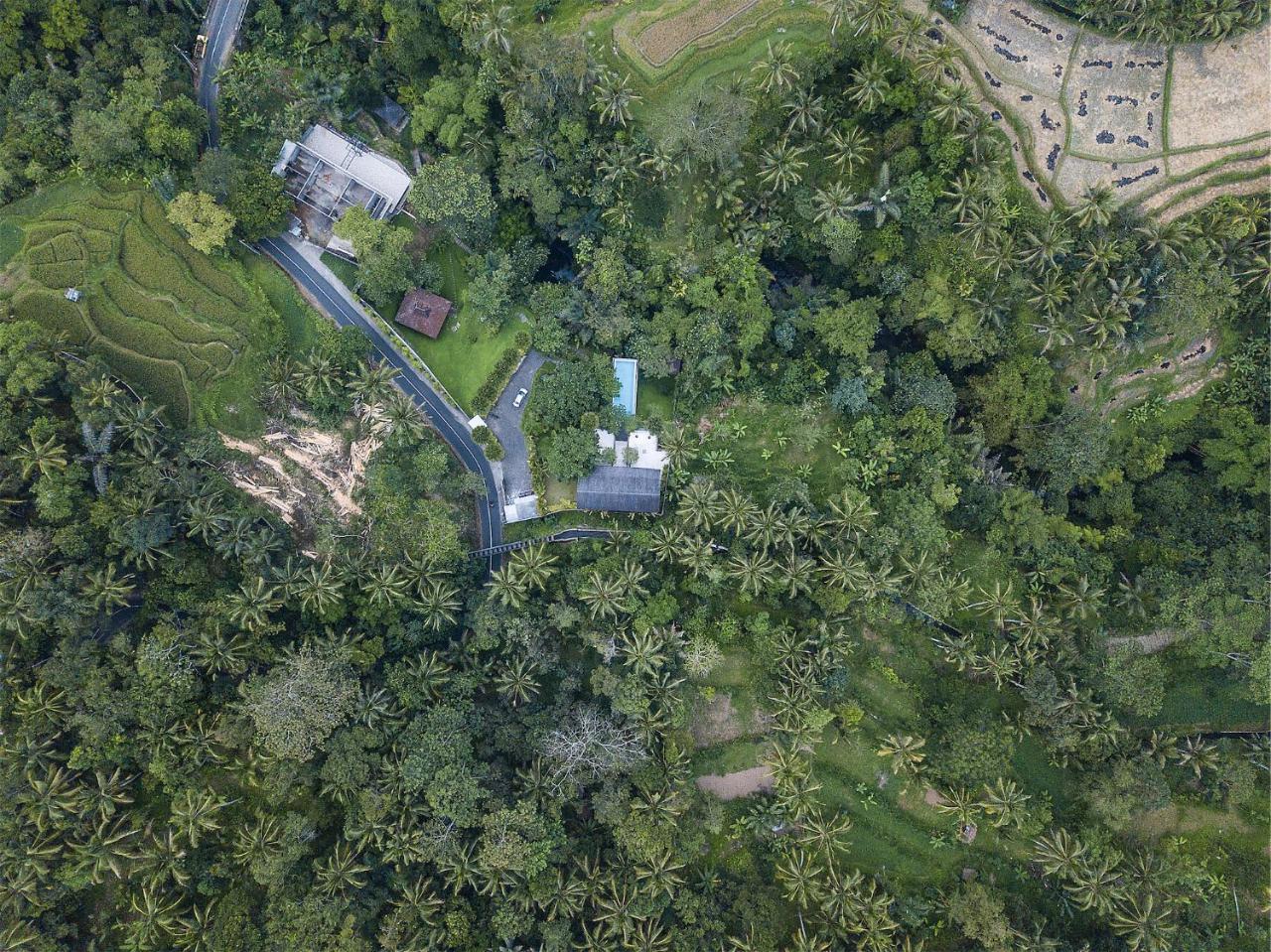 Sandhya Villa Ubud Exteriér fotografie